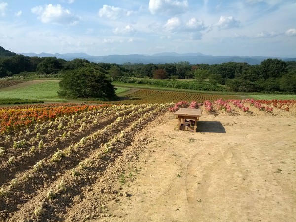 広大な園内